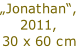 „Jonathan“,
2011,
30 x 60 cm
